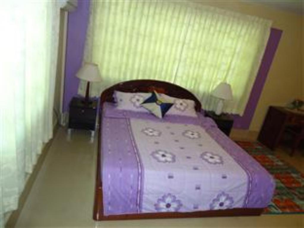 Spring Park Hotel Battambang Rum bild